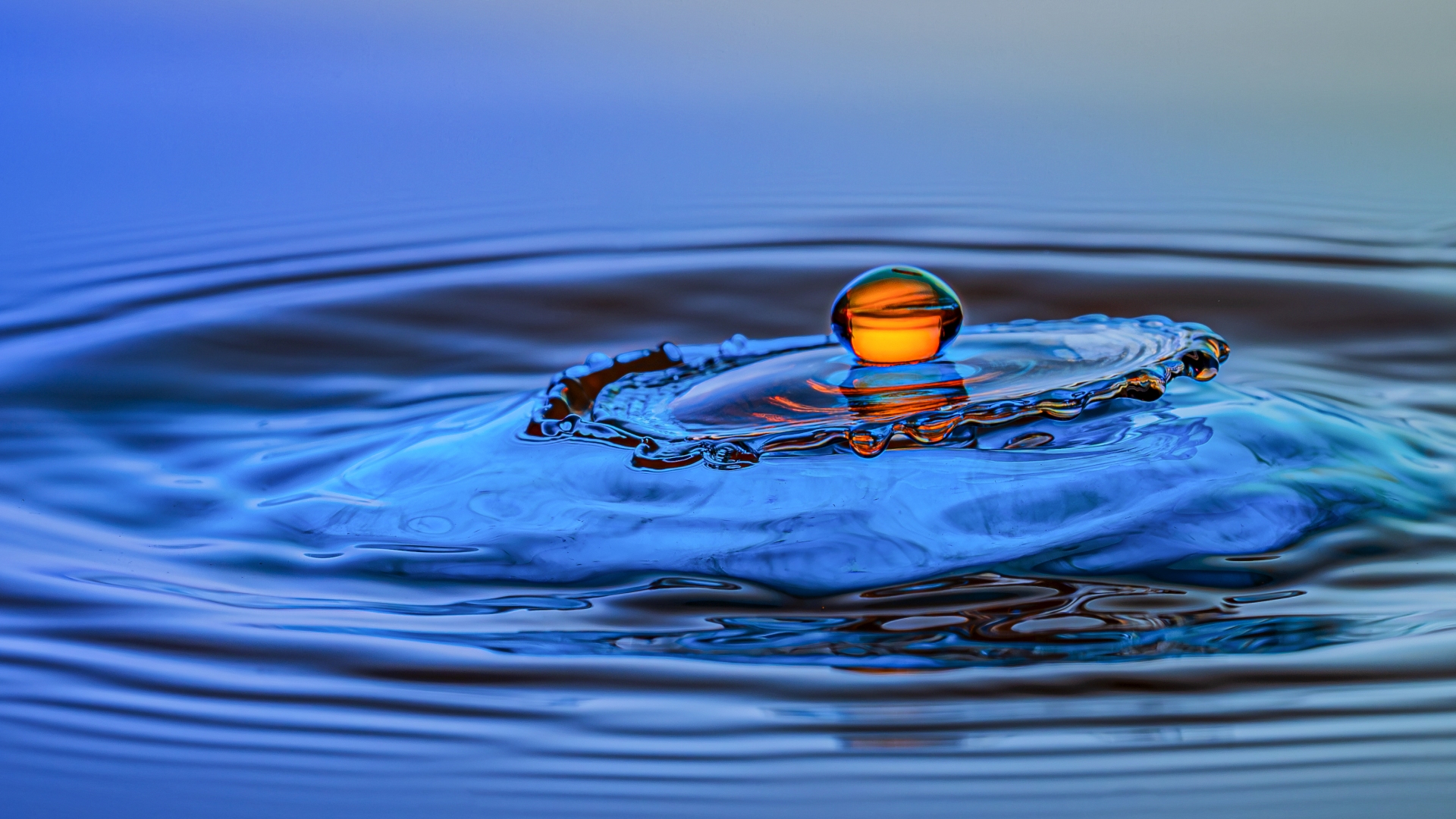 Schöpfung und Vergänglichkeit